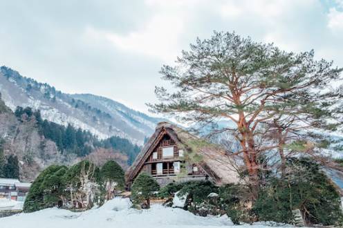 Shimla Tour